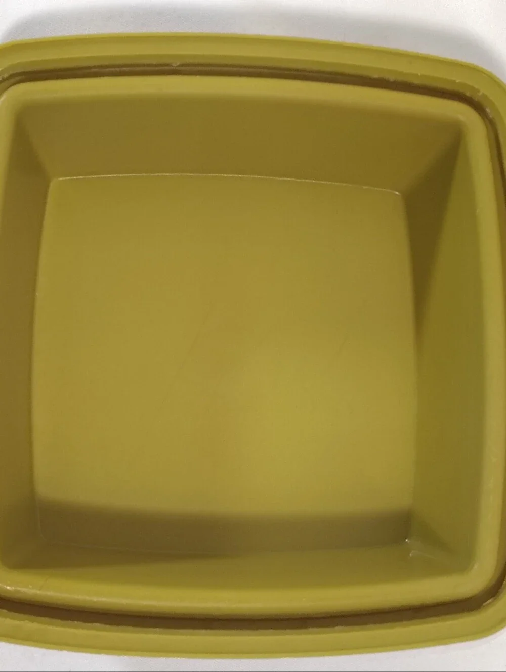 Tupperware Pickle Keeper